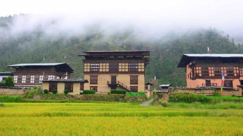 Séjour au Paro Village Lodge - Bhoutan | Au Tigre Vanillé