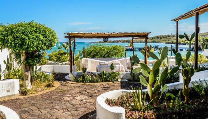 Terrasse de la Casa Opuntia à San Cristobal dans les Galapagos - Equateur | Au Tigre Vanillé