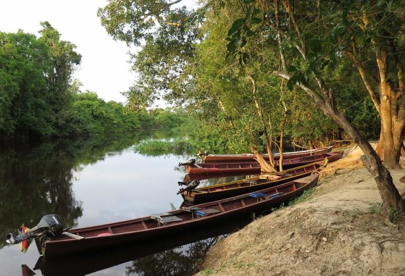 amazonie-jungle-safari-pirogue-bolivie Safari en pirogue en Amazonie - Bolivie | Au Tigre Vanillé