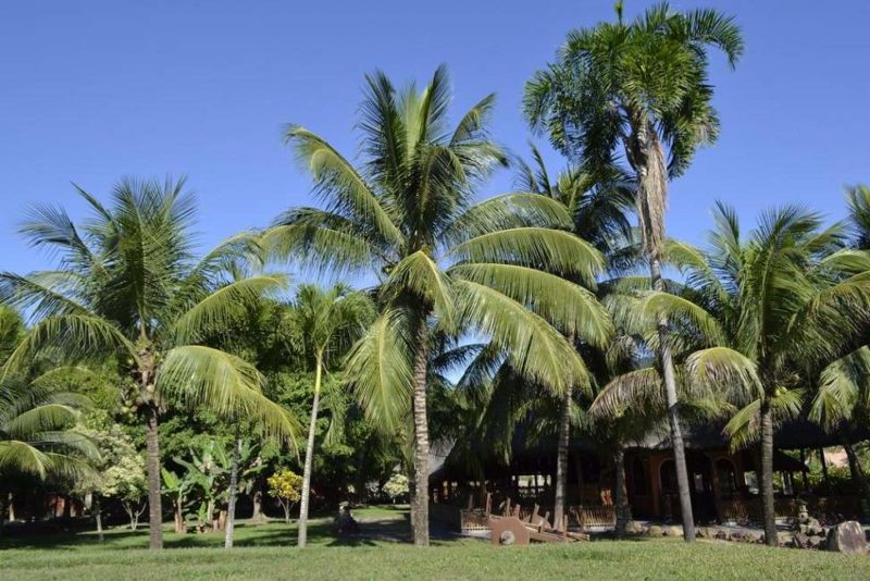 Hotel Isla Tucanes à Rurrenabaque en Amazonie - Bolivie | Au Tigre Vanillé