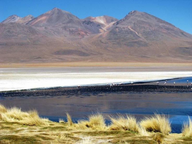 Laguna Bolli dans le désert du Lipez- Bolivie | Au Tigre Vanillé