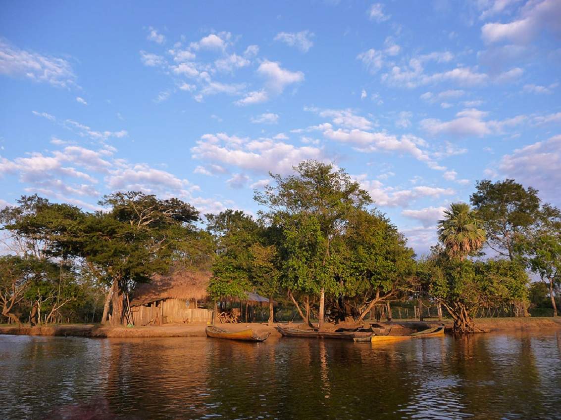 Parc national de Madidi en Amazonie - Bolivie | Au Tigre Vanillé