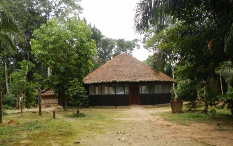 Jardin de l'hotel Mashaquipe Ecolodge à Rurrenabaque en Amazonie - Bolivie | Au Tigre Vanillé