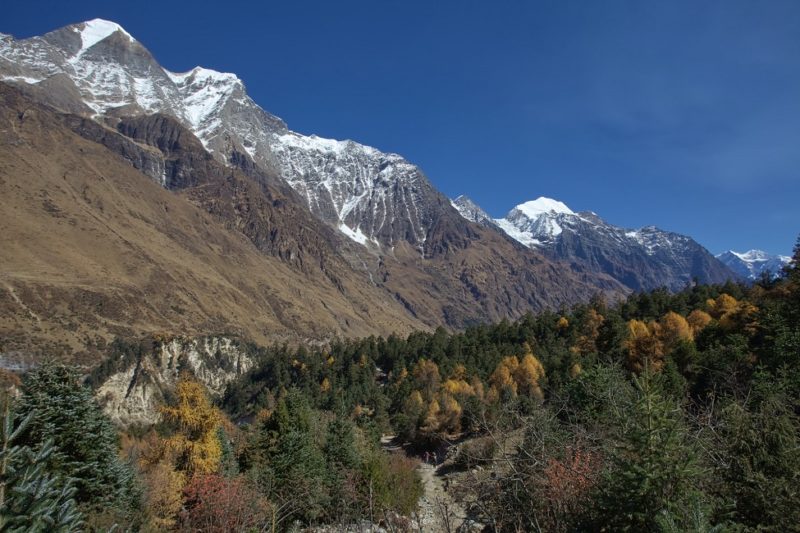 trek du Manaslu depuis Pokhara - Nepal | Au Tigre Vanillé