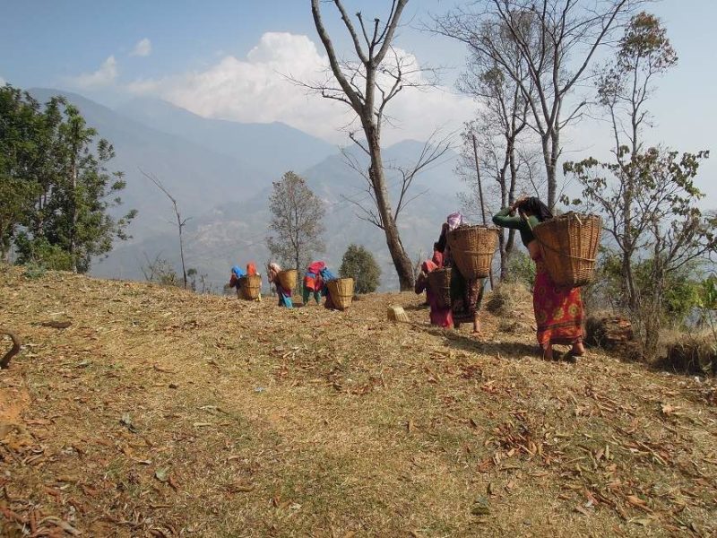 Randonnée à la journée à Dhulikhel - Népal | Au Tigre Vanillé