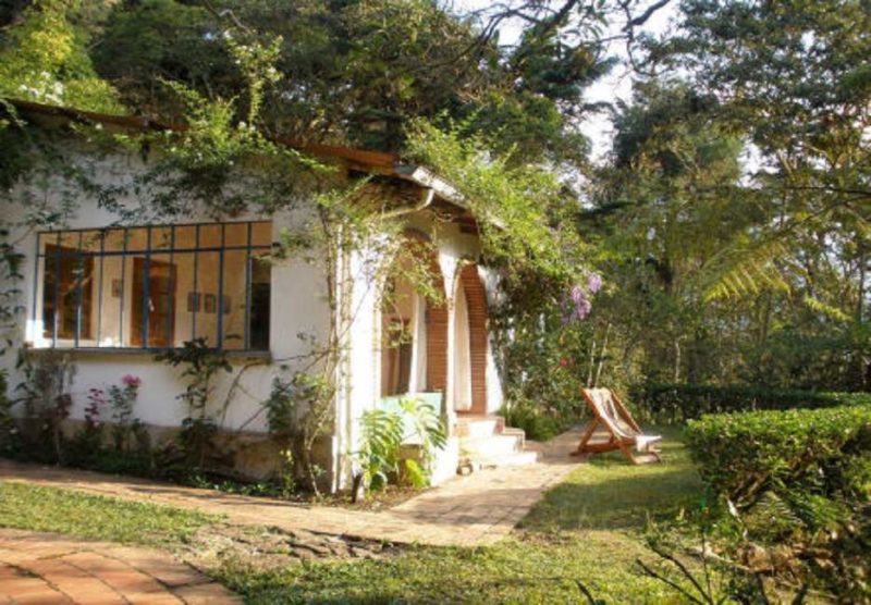 Jardin de l'hotel Sol Luna à Coroico en Amazonie- Bolivie | Au Tigre Vanillé