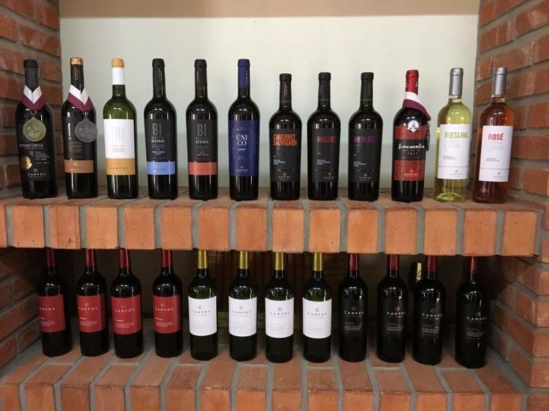 Vignobles et bouteilles de vin de Tarija - Bolivie | Au Tigre Vanillé