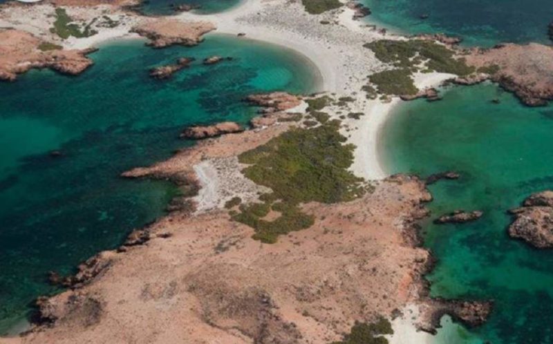 Plongée et snorkeling sur l'île de Daymaniayat - Oman | Au Tigre Vanillé