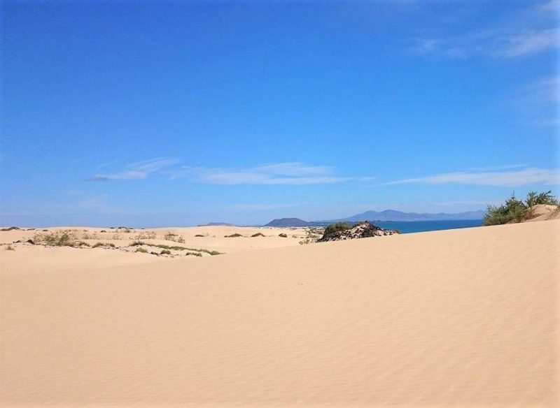 Dunes de sable à Corralejos à Fuerteventura - Îles Canaries | Au Tigre Vanillé