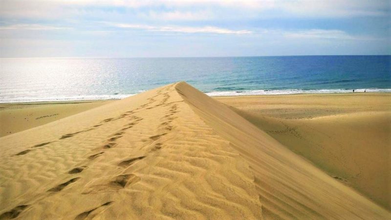 Dunes de la plage Maspalomas à Gran Canaria - Îles Canaries | Au Tigre Vanillé