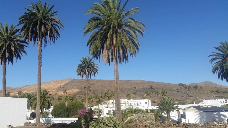 Marché de Haria à Lanzarote - Îles Canaries | Au Tigre Vanillé