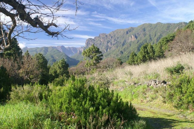 Randonnée autour de la caldera à La Palma - Îles Canaries | Au Tigre Vanillé