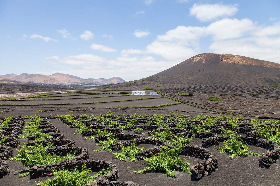 Paysage volcanique aride à Lanzarote - Îles Canaries | Au Tigre Vanillé