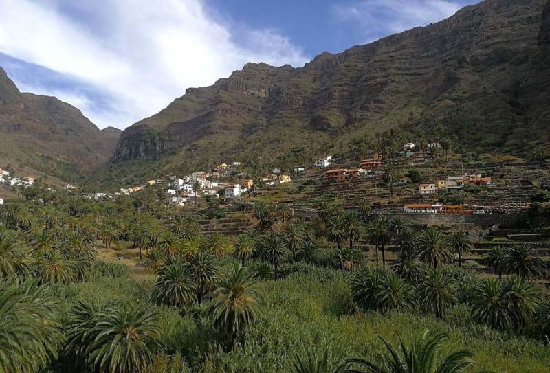 Vallée tropicale de palmiers et plages à La Gomera - Îles Canaries | Au Tigre Vanillé