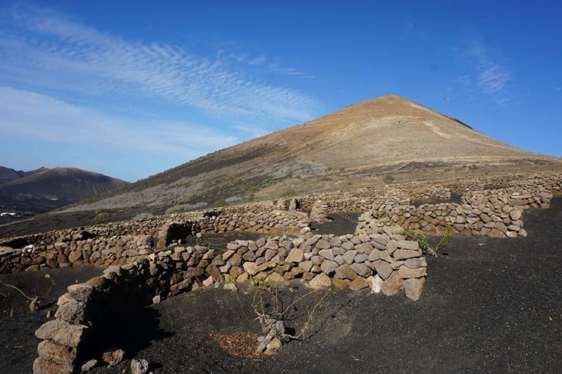 Vignoble en demi-lune à Lanzarote - Îles Canaries | Au Tigre Vanillé