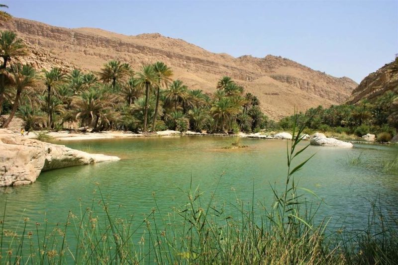 Randonner dans le wadi Bani Khalid - Oman | Au Tigre Vanillé