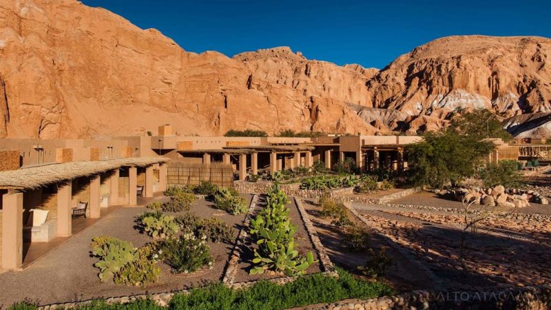 Jardins de l'hôtel Alto de San Pedro dans le désert d'Atacama - Chili | Au Tigre Vanillé