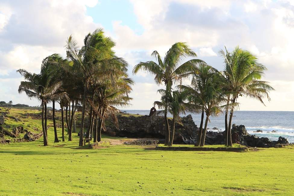 Plage de palmier de Anakena à l'Île de Pâques - Chili | Au Tigre Vanillé