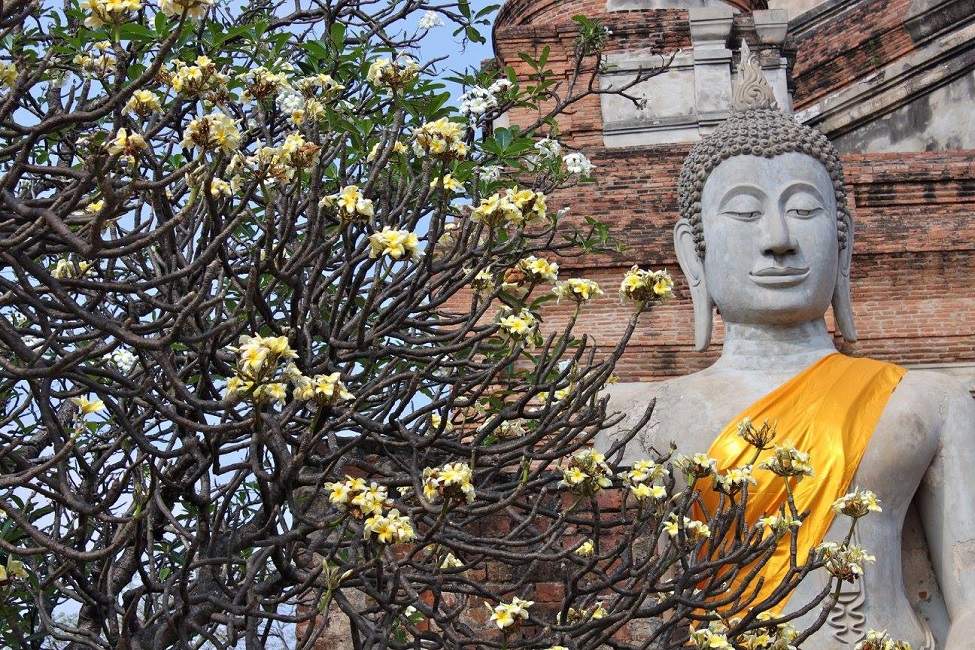 Bouddha et temples à Ayutthaya - Thaïlande | Au Tigre Vanillé