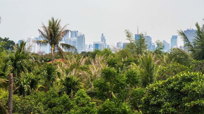 Balade à vélo dans la forêt de Bangkrachao à Bangkok - Thaïlande | Au Tigre Vanillé