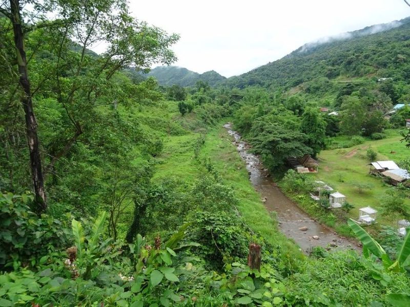 Vue sur la rivière de l'hôtel Boklua View à Bo Klua - Thailande | Au Tigre Vanillé