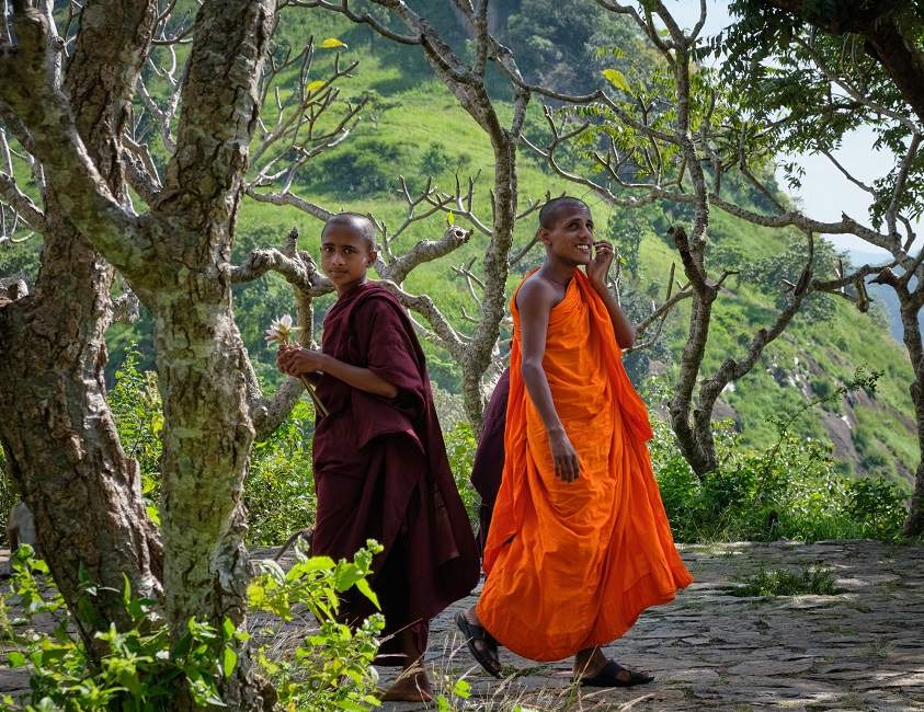 Moines bouddhistes - Sri Lanka | Au Tigre Vanillé