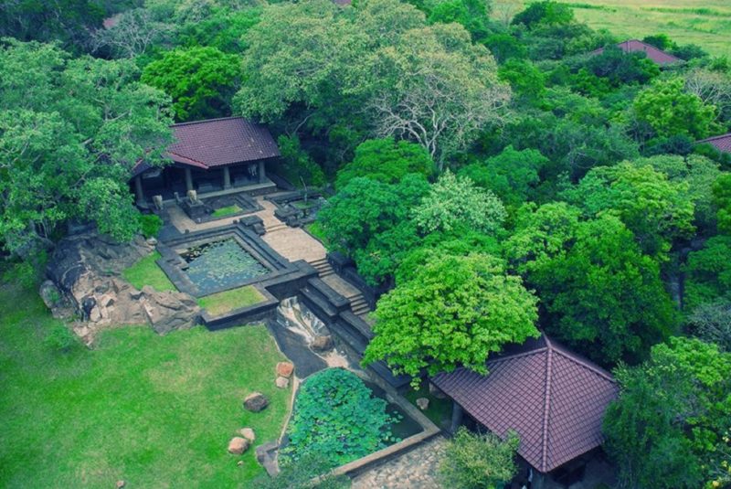 Vue aerienne sur le jardin de l'hotel Forest Rock à Anuradhapura - Sri Lanka | Au Tigre Vanillé