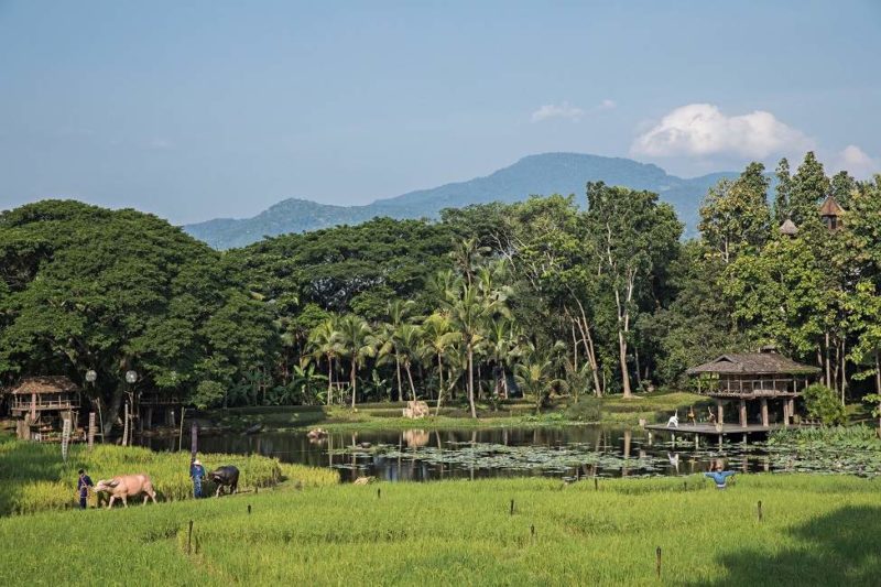 Jardin de l'hôtel Four Seasons à Chiang Mai - Thailande | Au Tigre Vanillé