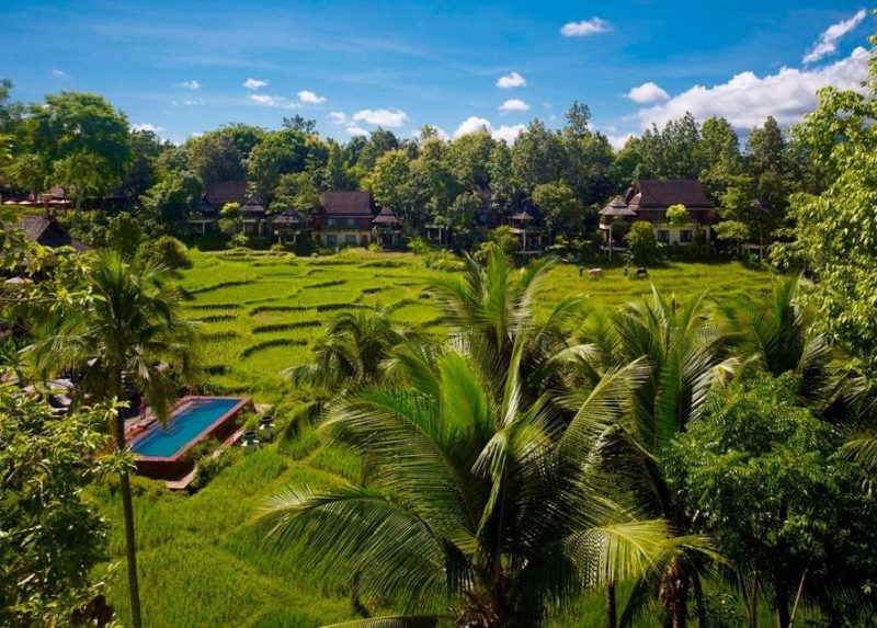 Piscine au milieu des rizières de l'hôtel Four Seasons à Chiang Mai - Thailande | Au Tigre Vanillé