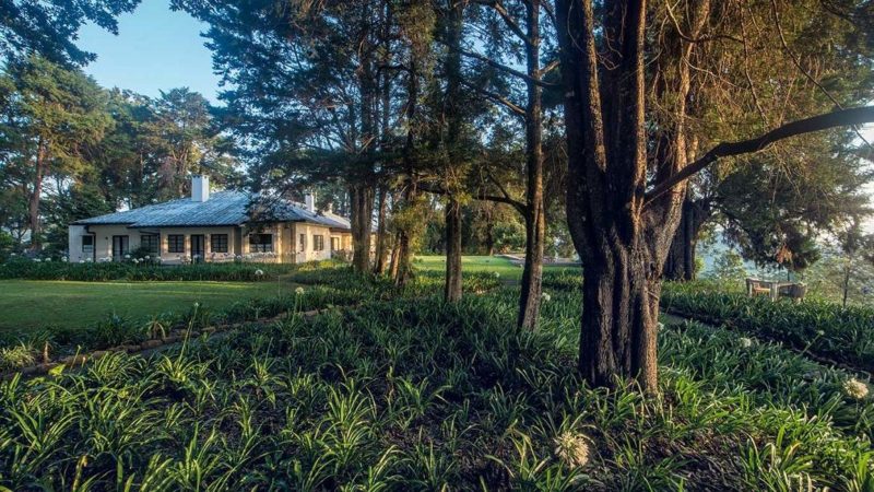 Jardin de l'hôtel Goatfell dans la région du thé - Sri Lanka | Au Tigre Vanillé