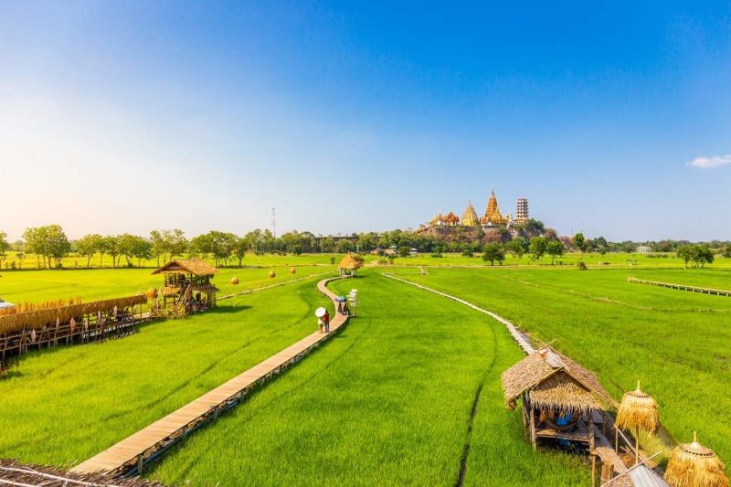 kanchanaburi-temple-tigre-rizières-thailande Ponton en bois traversant des rizières verdoyantes menant vers un temple dans la région de Kanchanaburi - Thailande | Au Tigre Vanillé