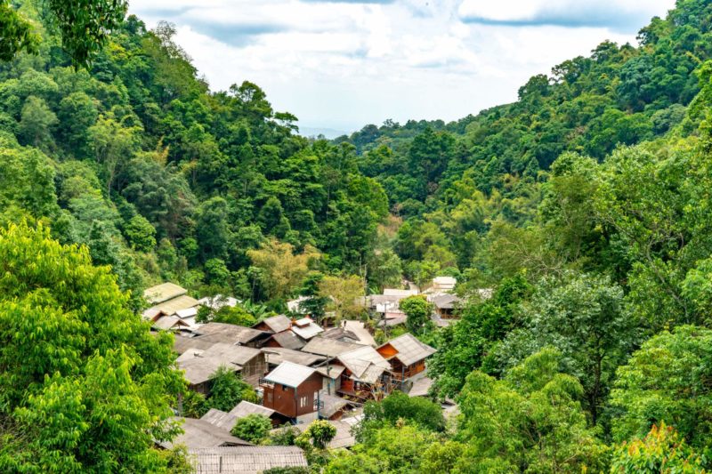 Plantations de thé et de café dans le village de Mae Kampong près de Chiang Mai - Thailande | Au Tigre Vanillé