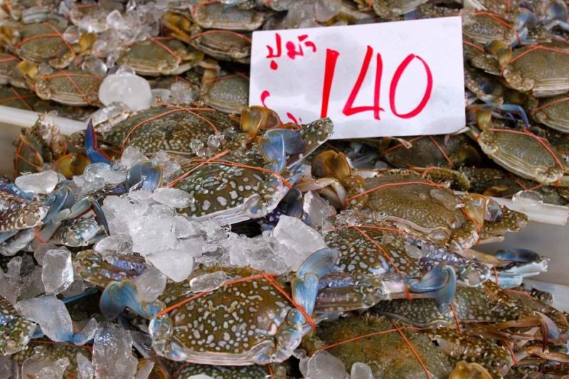 Marché aux poissons de Mahachai à Bangkok - Thaïlande | Au Tigre Vanillé