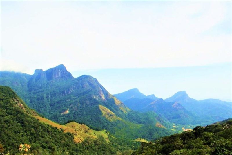 Randonner dans le massif des Knuckles à Kandy - Sri Lanka | Au Tigre Vanillé