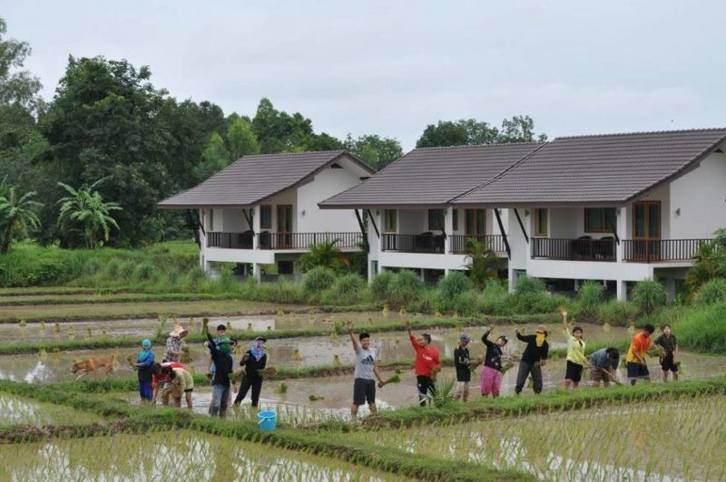 Elèves de l'école hotelière de Pimali dans les rizières à Nong Khai - Thaïlande | Au Tigre Vanillé