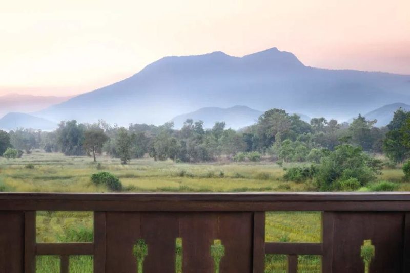 Vue sur les champs de l'hôtel Sriwilai à Sukhothai - Thaïlande | Au Tigre Vanillé