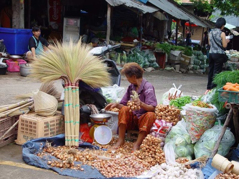 Rencontre avec l'ethnie Taidam et découverte de sa culture à Nong Khai - Thaïlande | Au Tigre Vanillé