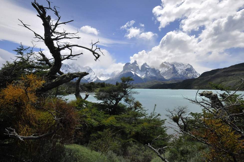 Vue sur un lac et des sommets à Torres del Paine - Chili | Au Tigre Vanillé