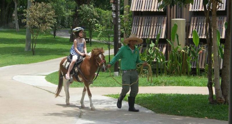 Activité cheval de l'hôtel Wishing Tree à Khon Kaen - Thaïlande | Au Tigre Vanillé
