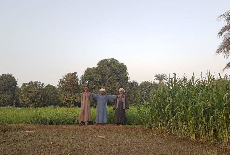 Sanctuaire de El Kab et village de paysans - Egypte | Au Tigre Vanillé