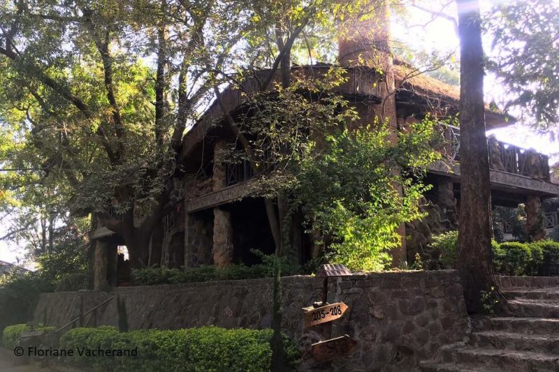 Jardin de l'hôtel Karifu au lac Tana - Éthiopie | Au Tigre Vanillé