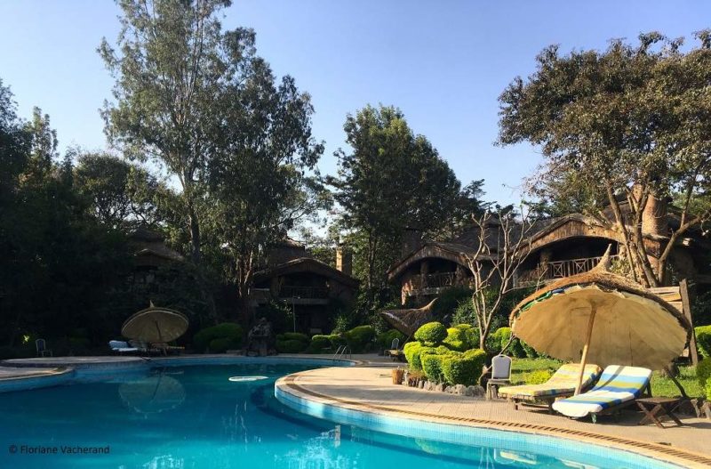 Piscine de l'hôtel Karifu au lac Tana - Éthiopie | Au Tigre Vanillé