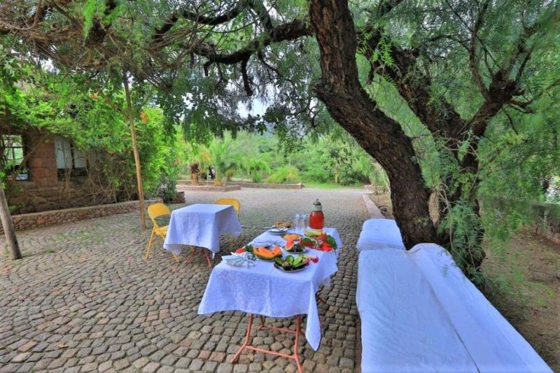 Jardin de l'hôtel Tukul à Lalibela - Éthiopie | Au Tigre Vanillé