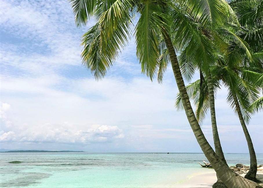 Palmier et eau turquoise dans l'archipel Las Perlas - Panama | Au Tigre Vanillé