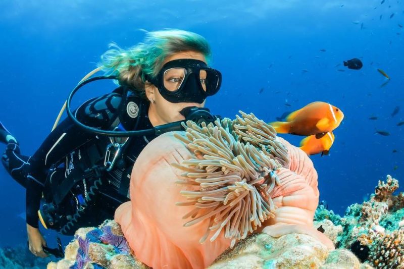 Femmes faisant de la plongée observant des coraux et des poissons clowns dans l'archipel Las Perlas - Panama | Au Tigre Vanillé