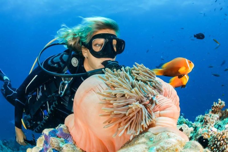 las-perlas-plage-plongee-panama Femmes faisant de la plongée observant des coraux et des poissons clowns dans l'archipel Las Perlas - Panama | Au Tigre Vanillé