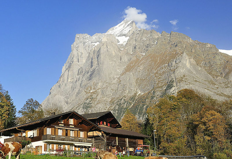 Montagne Grindelwald, Oberland bernois - Suisse | Au Tigre Vanillé