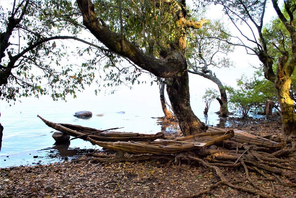 pirogue-artisanat-lac-tana-ethiopie Construction de pirogue artisanale en papyrus - Éthiopie | Au Tigre Vanillé