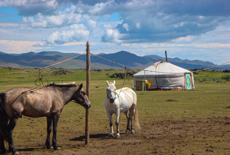 randonnee-cheval-nomades-liberte-mongolie Chevaux devant nue yourte de nomades dans la steppe - Mongolie | Au Tigre Vanillé