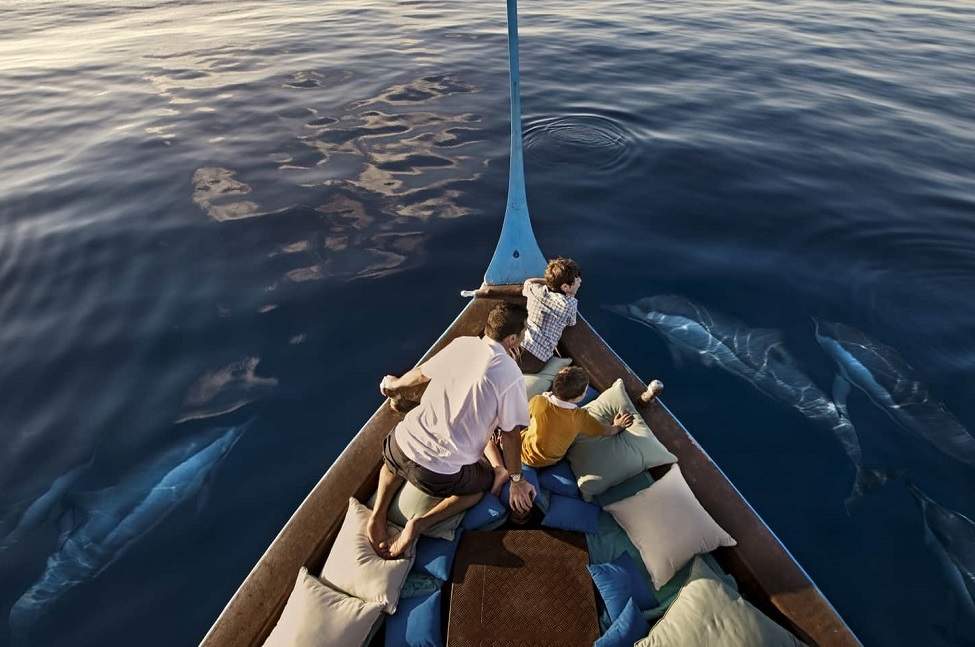 famille-dauphins-bateau-four-seasons-maldives Excursion avec les dauphins depuis le bateau Explorer de l'hotel Four Seasons - Maldives | Au Tigre Vanillé
